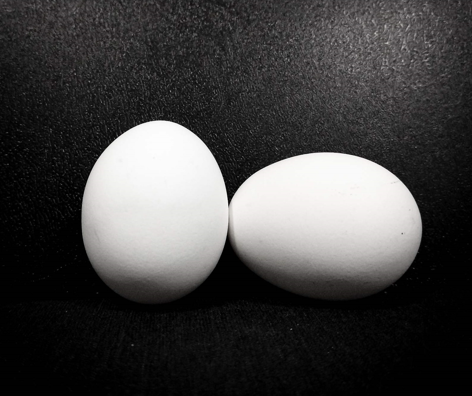 Fresh Egg-preview